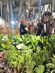 برگزاری نمایشگاه گل و گیاه در زنجان