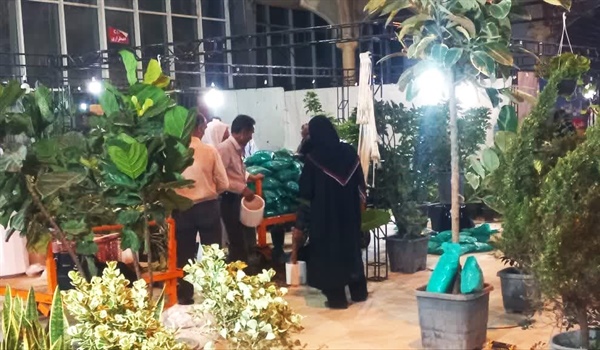 نمایشگاه گل و گیاه زنجان