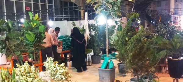 نمایشگاه گل و گیاه زنجان