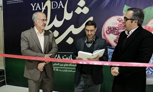 آغاز به کار نمایشگاه و جشنواره شب یلدا در زنجان